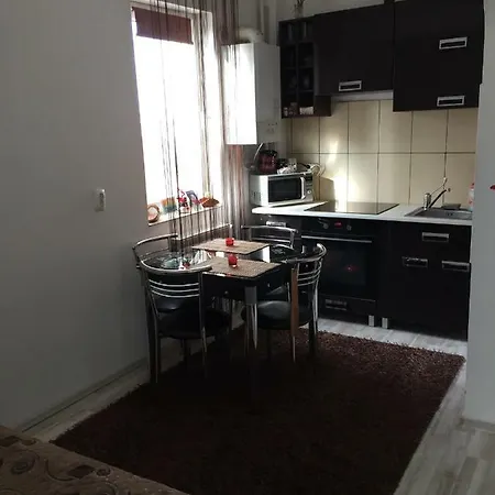 公寓 Strada Lyon A6 康斯坦察